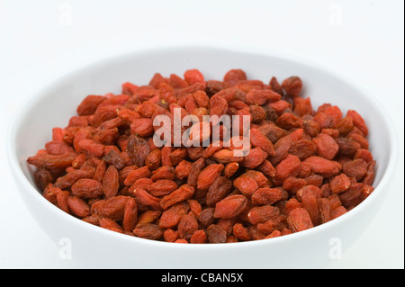 Goji-Beeren isoliert auf weißem Hintergrund Stockfoto