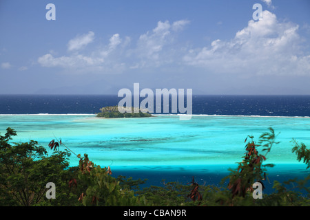 Raiatea Lagune mit kleinen Motu in Französisch-Polynesien von oben. Traumhafte Farben. Stockfoto