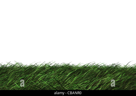 Hochauflösende 3d Grasgrün isoliert auf weißem Hintergrund Stockfoto