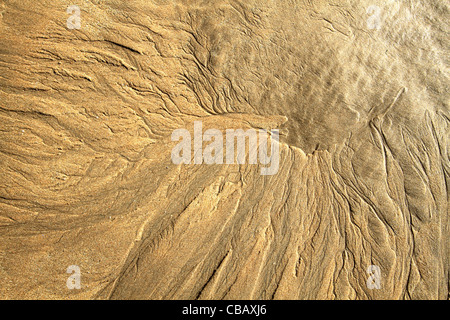 Muster in den Sand - Freshwater West Strand, Pembrokeshire, Wales Stockfoto