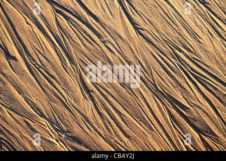 Muster in den Sand - Freshwater West Strand, Pembrokeshire, Wales Stockfoto