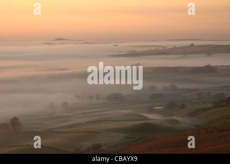 niedrige Wolken steigen aus dem Fluss Eden über Felder in Richtung der Pennines Stockfoto