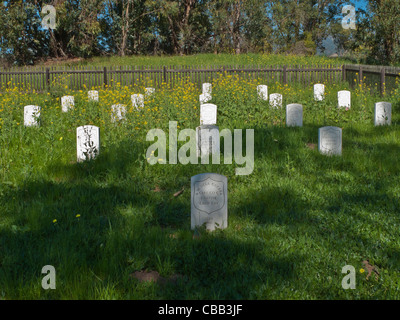 Ein Bürgerkrieg Friedhof mit den Gräbern der California Volunteers, Santa Barbara Company C, bekannt als die Barbareños. Stockfoto