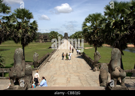 Löwen-Statuen flankieren die Treppe zum Palmen gesäumten Promenade am Angkor Wat, Siem Reap, Kambodscha Stockfoto
