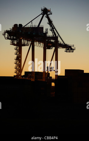 Silhoutted shipping Container-Kran Stockfoto