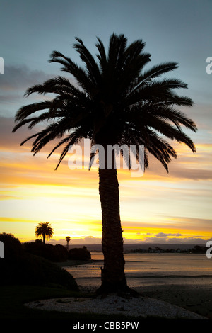 Sonnenuntergang, Nelson, Südinsel, Neuseeland Stockfoto