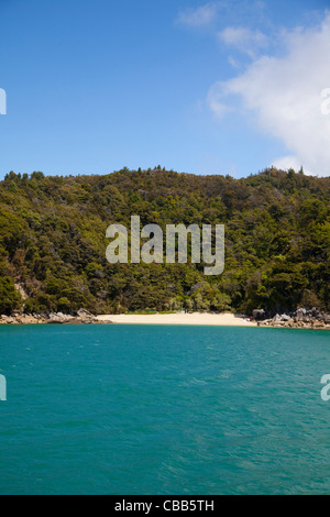 Kaiteriteri Küste, Abel Tasman Nationalpark, Südinsel, Neuseeland Stockfoto