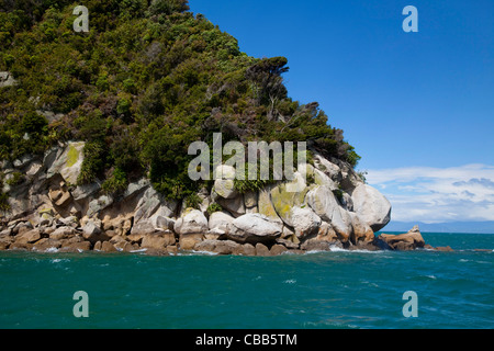 Tonga Island, Kaiteriteri Küste, Abel Tasman Nationalpark, Südinsel, Neuseeland Stockfoto