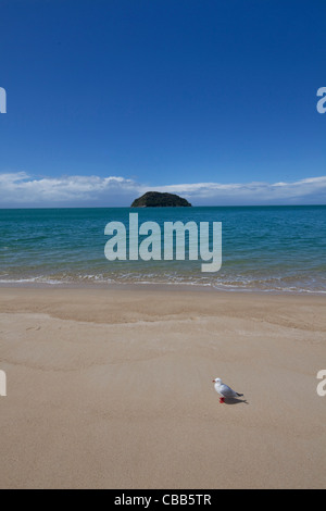 Tonga Steinbruch Strand, Kaiteriteri Küste, Abel Tasman Nationalpark, Südinsel, Neuseeland Stockfoto