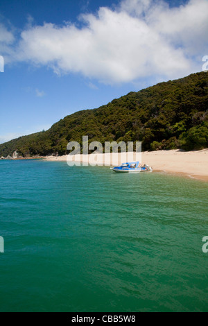 Kaiteriteri Küste, Abel Tasman Nationalpark, Südinsel, Neuseeland Stockfoto