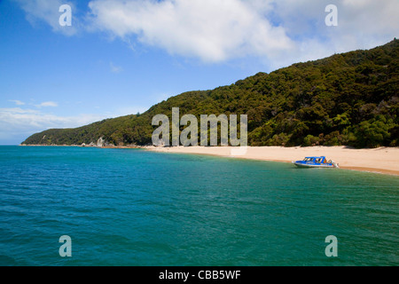 Kaiteriteri Küste, Abel Tasman Nationalpark, Südinsel, Neuseeland Stockfoto