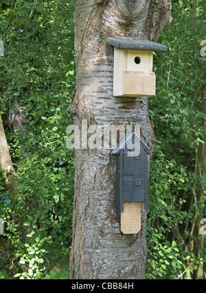 Vogel Nistkasten Stockfoto