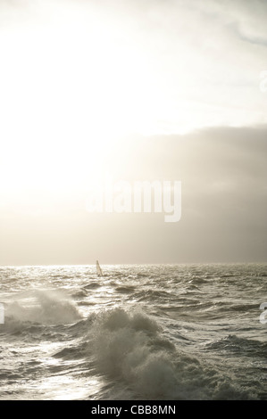 Aufgeregt Seine Gewässer zieht Surfer in Le Havre, Normany, Frankreich Stockfoto