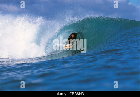 Im Lauf einer perfekten Welle surfen. Palliser Bay, Wairarapa, Wellington, Neuseeland, Australien Stockfoto