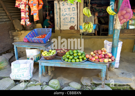 Kleines Geschäft auf Spuren von Ghandruk nach Nayapul, Annapurna Sanctuary Region, Nepal, Asien Stockfoto