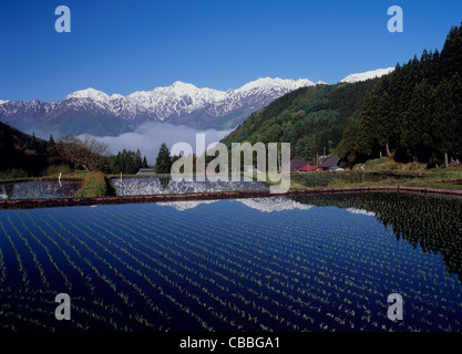 Aoni terrassenförmig angelegten Feld, Hakuba, Nagano, Japan Stockfoto