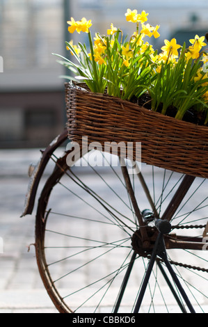 altes Fahrrad mit Korb mit Blumen in der Straße von Helsinki, Finnland (sehr geringe Schärfentiefe, Schwerpunkt Blumen und Korb) Stockfoto