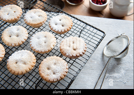 Frisch gebackene Mince Pies auf einem Kuchengitter abkühlen und mit Puderzucker bestreut worden Stockfoto