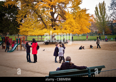 Der Ginkgo Biloba Baum, Parc Monceau im Herbst: die Organisation. Stockfoto