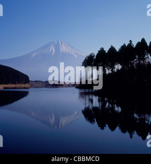 See-Tanuki und Mount Fuji, Fujinomiya, Shizuoka, Japan Stockfoto