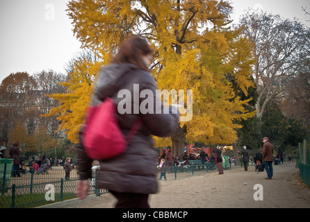 Der Ginkgo Biloba Baum, Parc Monceau im Herbst: die bemerkenswerte Baum. Stockfoto