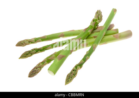 Frische Speere der Spargel mit einem hohen zentralen weißen Hintergrund genommen. Stockfoto