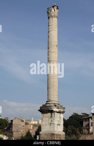 Italien. Rom. Spalte des Phokas. 608 N. CHR. Die östlichen römischen Kaiser Phokas gewidmet. Das Forum Romanum. Stockfoto