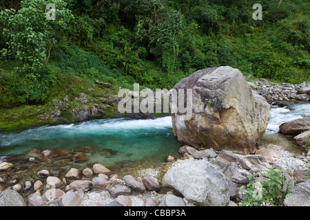 Modi-Tal, in der Nähe von Ulleri, Annapurna Sanctuary Region, Himalaya, Nepal, Asien Stockfoto