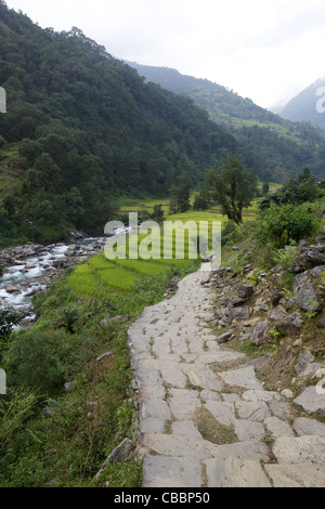 Modi-Tal, in der Nähe von Ulleri, Annapurna Sanctuary Region, Himalaya, Nepal, Asien Stockfoto