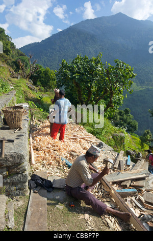 Tischler arbeiten in der Nähe von Ulleri, Annapurna Sanctuary Region, Himalaya, Nepal, Asien Stockfoto