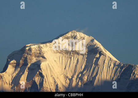 Zeigen Sie in der Morgendämmerung des Dhaulagiri von Poon Hill, Annapurna Sanctuary Region, Himalaya, Nepal, Asien an Stockfoto