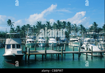 Bud'n "Marias Marina in Islamorada, Tiefsee Fischen Hauptstadt der Florida Keys, Insel-Kette in Florida, USA Stockfoto