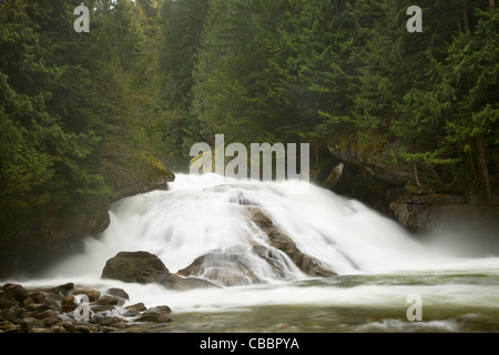 WASHINGTON - Alpine fällt auf dem Tye River in den Mount Baker - Snoqualmie National Forest. Stockfoto