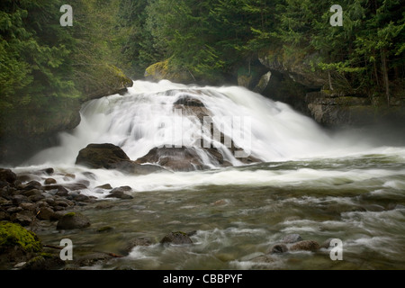 WASHINGTON - Alpine fällt auf dem Tye River in den Mount Baker - Snoqualmie National Forest. Stockfoto