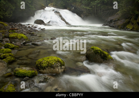 WASHINGTON - Alpine fällt auf dem Tye River in den Mount Baker - Snoqualmie National Forest. Stockfoto