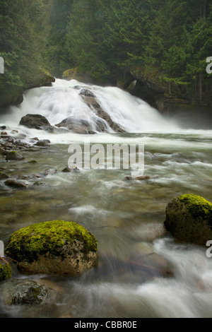 WASHINGTON - Alpine fällt auf dem Tye River in den Mount Baker - Snoqualmie National Forest. Stockfoto