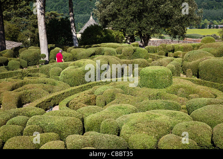 Formgehölze in hängender Garten von Marqueyssac, Dordogne, Frankreich Stockfoto