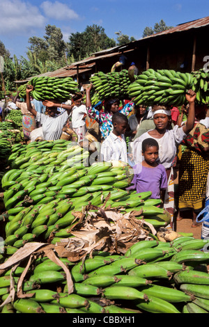 Lebhaften Markt für Kochbananen in Mwika Dorf, Kilimanjaro, Tansania Stockfoto