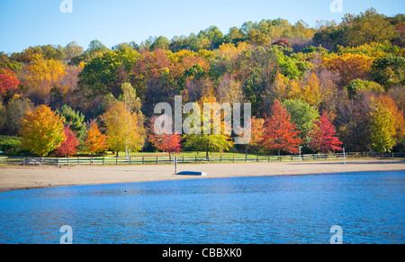 Schöne blaue See und bunte Wälder im Herbst Stockfoto