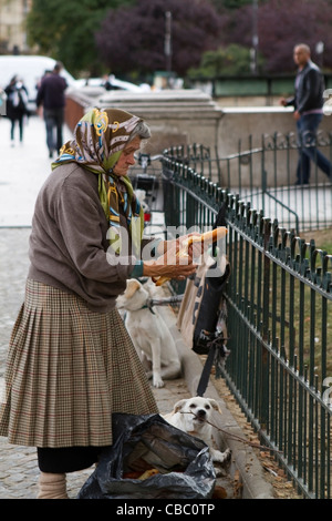 Lady, die Fütterung der Tauben auf der Île De La Cité in Paris, Frankreich Stockfoto