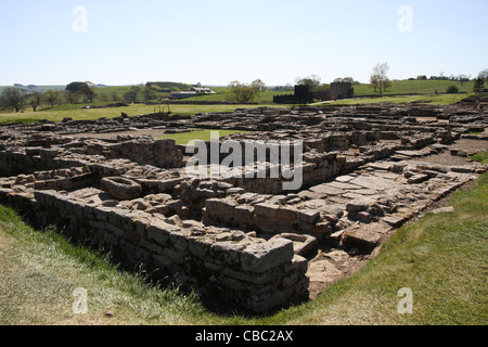 Vindolanda Fort in der Nähe der Hadrianswall Stockfoto