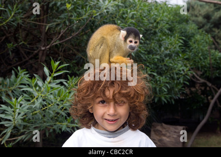 Hout Bay: Welt der Vögel & Monkey Jungle - Kind mit samt Affen Stockfoto