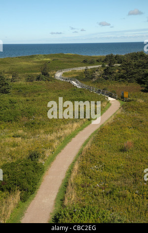 Ein Gehweg windet sich um die landet am Strand in Kanada an der Greenwich, Prince Edward Island National Park von Greenwich, P.E.I. Stockfoto