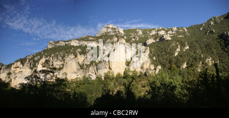 Kalksteinfelsen und Wald in der Nähe der Stadt Entraygues, Frankreich Stockfoto