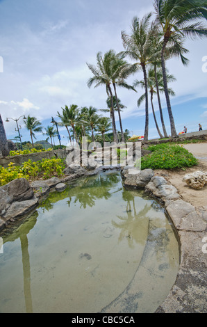 Waikikis Kapiolani Park, Honolulu, Oahu, Hawaii Stockfoto