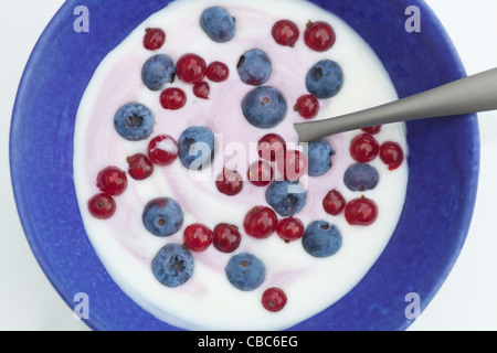 Nahaufnahme von Heidelbeeren und Joghurt Stockfoto