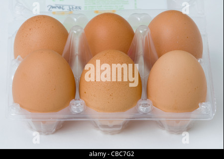 sechs oder ein halbes Dutzend braune Hühner-Eiern in einem transparenten Kunststoff Eierbehälter oder box Stockfoto