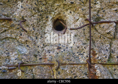 Miedzyrzecz Befestigung Region. Nahaufnahme der ein Einschussloch in Stahlbetonwand des Bunkers. Stockfoto