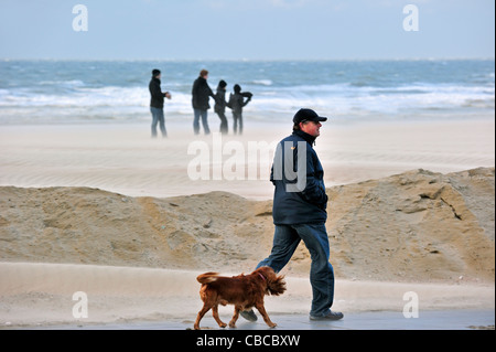 Mann zu Fuß am Deich mit Hund bei stürmischem Wetter entlang der Nordsee an Nieuwpoort, Belgien Stockfoto