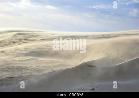 Treibsand gesprengt durch den Wind am Strand entlang der Nordsee während des Wintersturms, Belgien Stockfoto